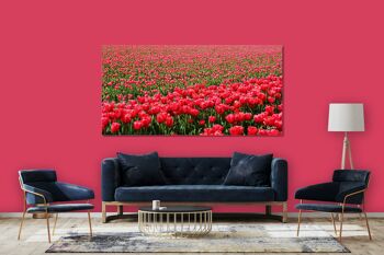 Papier peint : Sea of Tulips 2 - format paysage 2:1 - nombreuses tailles et matériaux - motif d'art photographique exclusif sous forme d'image sur toile ou d'image en verre acrylique pour la décoration murale 12