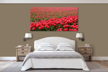 Papier peint : Sea of Tulips 2 - format paysage 2:1 - nombreuses tailles et matériaux - motif d'art photographique exclusif sous forme d'image sur toile ou d'image en verre acrylique pour la décoration murale 13
