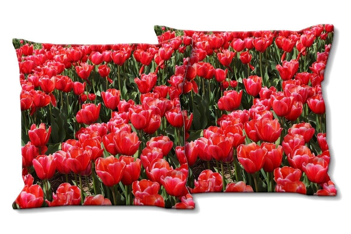 Set di cuscini decorativi con foto (2 pezzi), motivo: Tulip Sea 3 - dimensioni: 40 x 40 cm - fodera per cuscino premium, cuscino decorativo, cuscino decorativo, cuscino fotografico, fodera per cuscino