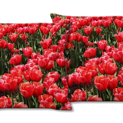 Deko-Foto-Kissen Set (2 Stk.), Motiv: Tulpenmeer 3 - Größe: 40 x 40 cm - Premium Kissenhülle, Zierkissen, Dekokissen, Fotokissen, Kissenbezug