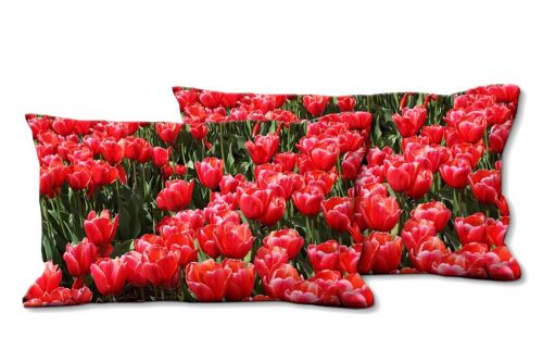 Deko-Foto-Kissen Set (2 Stk.), Motiv: Tulpenmeer 3 - Größe: 80 x 40 cm - Premium Kissenhülle, Zierkissen, Dekokissen, Fotokissen, Kissenbezug