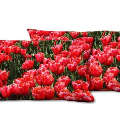 Deko-Foto-Kissen Set (2 Stk.), Motiv: Tulpenmeer 3 - Größe: 80 x 40 cm - Premium Kissenhülle, Zierkissen, Dekokissen, Fotokissen, Kissenbezug