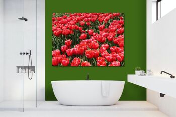 Papier peint : Sea of Tulips 3 - format paysage 4:3 - nombreuses tailles et matériaux - motif d'art photo exclusif sous forme d'image sur toile ou d'image en verre acrylique pour la décoration murale 3