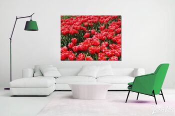Papier peint : Sea of Tulips 3 - format paysage 4:3 - nombreuses tailles et matériaux - motif d'art photo exclusif sous forme d'image sur toile ou d'image en verre acrylique pour la décoration murale 4