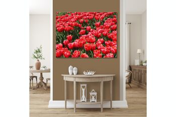 Papier peint : Sea of Tulips 3 - format paysage 4:3 - nombreuses tailles et matériaux - motif d'art photo exclusif sous forme d'image sur toile ou d'image en verre acrylique pour la décoration murale 5
