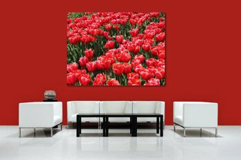 Papier peint : Sea of Tulips 3 - format paysage 4:3 - nombreuses tailles et matériaux - motif d'art photo exclusif sous forme d'image sur toile ou d'image en verre acrylique pour la décoration murale 7