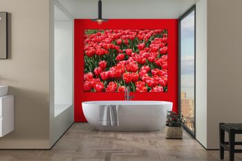 Papier peint : Sea of Tulips 3 - format paysage 4:3 - nombreuses tailles et matériaux - motif d'art photo exclusif sous forme d'image sur toile ou d'image en verre acrylique pour la décoration murale 9