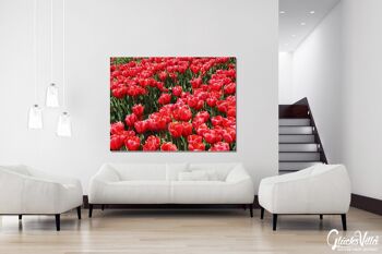 Papier peint : Sea of Tulips 3 - format paysage 4:3 - nombreuses tailles et matériaux - motif d'art photo exclusif sous forme d'image sur toile ou d'image en verre acrylique pour la décoration murale 12