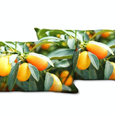 Decorative photo cushion set (2 pieces), motif: kumquat dwarf orange - size: 80 x 40 cm - premium cushion cover, decorative cushion, decorative cushion, photo cushion, cushion cover