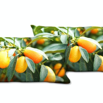 Deko-Foto-Kissen Set (2 Stk.), Motiv: Kumquat Zwergorange - Größe: 80 x 40 cm - Premium Kissenhülle, Zierkissen, Dekokissen, Fotokissen, Kissenbezug