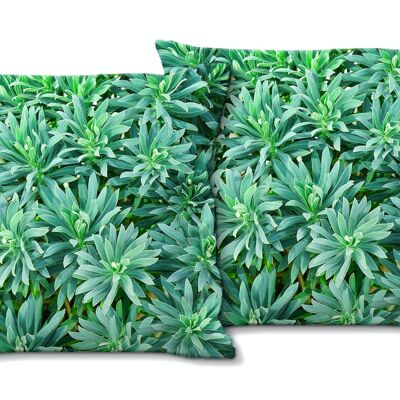 Juego de cojines decorativos con foto (2 piezas), motivo: Spurge mediterráneo - Tamaño: 40 x 40 cm - Funda de cojín premium, cojín decorativo, cojín decorativo, cojín fotográfico, funda de cojín