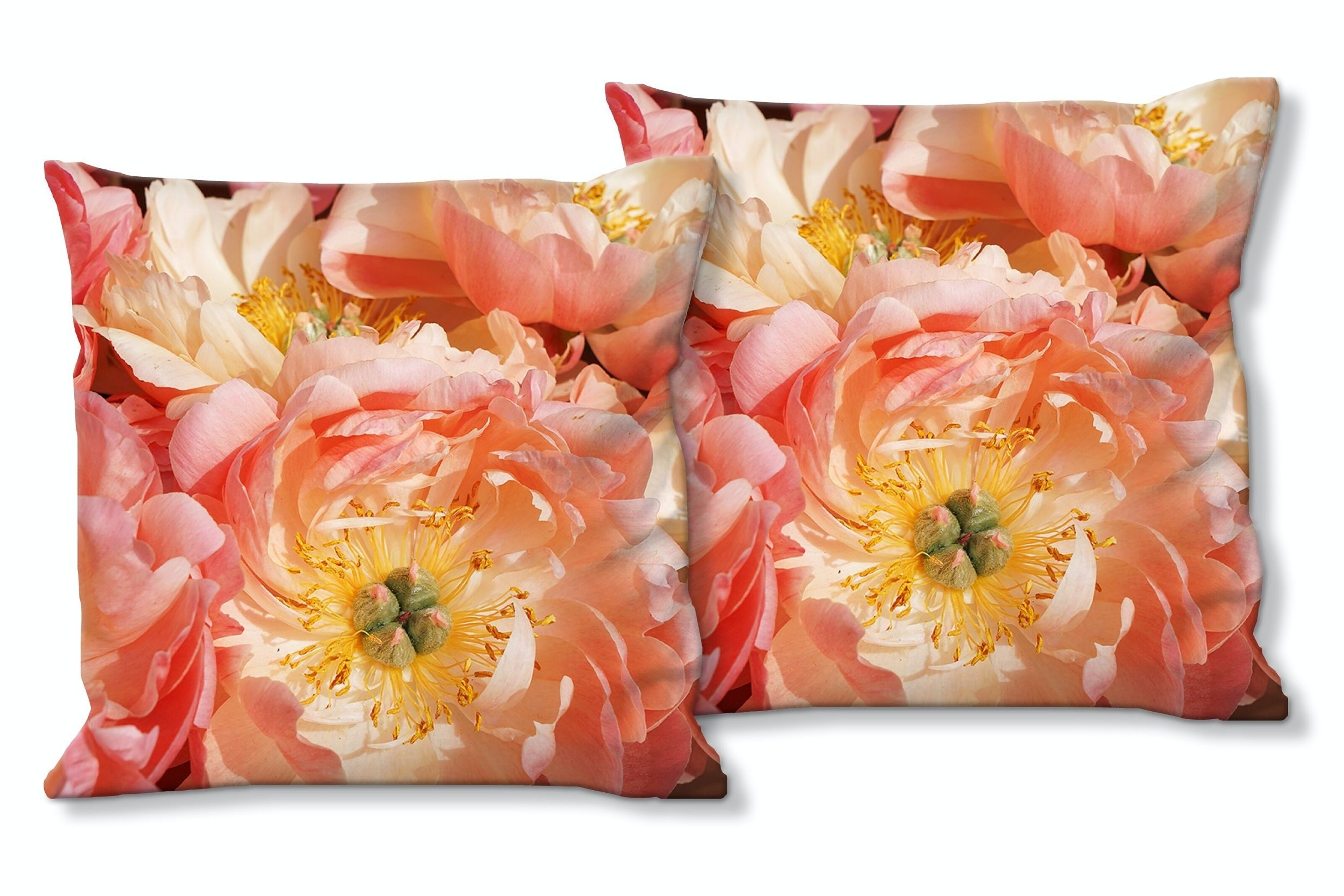 Buy wholesale Decorative photo cushion set (2 pieces), motif: pink peony  blossom - size: 40 x 40 cm - premium cushion cover, decorative cushion,  decorative cushion, photo cushion, cushion cover