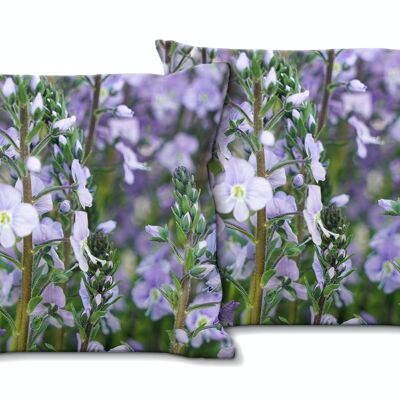 Decorative photo cushion set (2 pieces), motif: gentian speedwell May sky - size: 40 x 40 cm - premium cushion cover, decorative cushion, decorative cushion, photo cushion, cushion cover