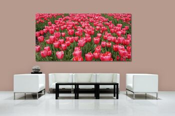 Papier peint : Sea of Tulips 1 - format paysage 2:1 - nombreuses tailles et matériaux - motif d'art photographique exclusif sous forme d'image sur toile ou d'image en verre acrylique pour la décoration murale 8