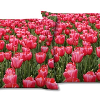 Deko-Foto-Kissen Set (2 Stk.), Motiv: Tulpenmeer 1 - Größe: 40 x 40 cm - Premium Kissenhülle, Zierkissen, Dekokissen, Fotokissen, Kissenbezug