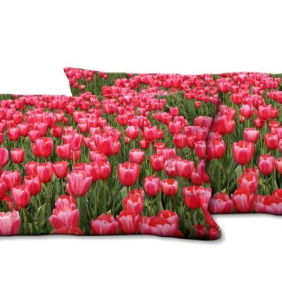 Set di cuscini fotografici decorativi (2 pezzi), motivo: Sea of Tulips 1 - Dimensioni: 80 x 40 cm - Fodera per cuscino premium, cuscino decorativo, cuscino decorativo, cuscino fotografico, fodera per cuscino