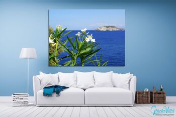 Papier peint : laurier-rose blanc de Crète au bord de la mer - format paysage 4:3 - nombreuses tailles et matériaux - motif d'art photo exclusif comme image sur toile ou image sur verre acrylique pour la décoration murale 2