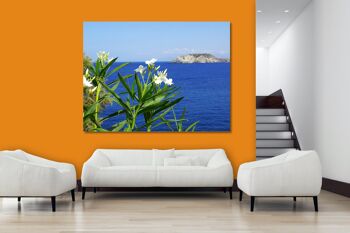 Papier peint : laurier-rose blanc de Crète au bord de la mer - format paysage 4:3 - nombreuses tailles et matériaux - motif d'art photo exclusif comme image sur toile ou image sur verre acrylique pour la décoration murale 6