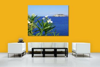 Papier peint : laurier-rose blanc de Crète au bord de la mer - format paysage 4:3 - nombreuses tailles et matériaux - motif d'art photo exclusif comme image sur toile ou image sur verre acrylique pour la décoration murale 9