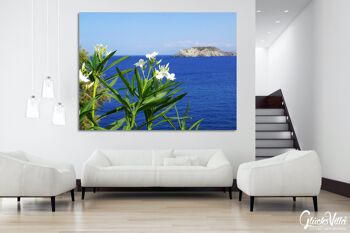 Papier peint : laurier-rose blanc de Crète au bord de la mer - format paysage 4:3 - nombreuses tailles et matériaux - motif d'art photo exclusif comme image sur toile ou image sur verre acrylique pour la décoration murale 10