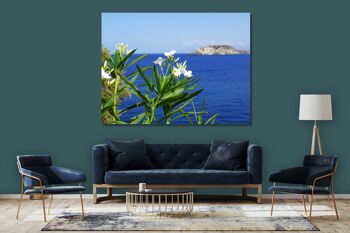 Papier peint : laurier-rose blanc de Crète au bord de la mer - format paysage 4:3 - nombreuses tailles et matériaux - motif d'art photo exclusif comme image sur toile ou image sur verre acrylique pour la décoration murale 11