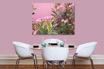 Papier peint : fleurs de laurier rose de Crète - format paysage 4:3 - nombreuses tailles et matériaux - motif d'art photographique exclusif sous forme de toile ou d'image en verre acrylique pour la décoration murale 2