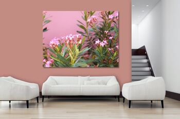 Papier peint : fleurs de laurier rose de Crète - format paysage 4:3 - nombreuses tailles et matériaux - motif d'art photographique exclusif sous forme de toile ou d'image en verre acrylique pour la décoration murale 8