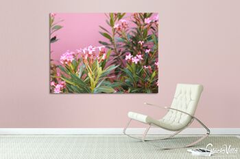 Papier peint : fleurs de laurier rose de Crète - format paysage 4:3 - nombreuses tailles et matériaux - motif d'art photographique exclusif sous forme de toile ou d'image en verre acrylique pour la décoration murale 14