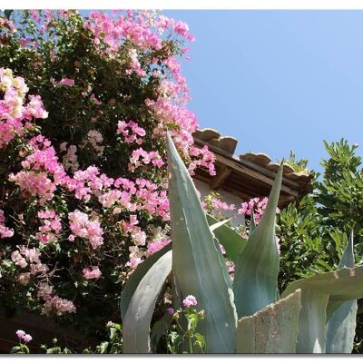 Mural: Crete house garden with bougainvillea - landscape format 4:3 - many sizes & materials - exclusive photo art motif as a canvas picture or acrylic glass picture for wall decoration