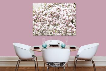 Papier peint : arbre en fleurs de magnolia - format paysage 4:3 - nombreuses tailles et matériaux - motif d'art photographique exclusif sous forme de toile ou d'image en verre acrylique pour la décoration murale 2