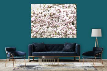 Papier peint : arbre en fleurs de magnolia - format paysage 4:3 - nombreuses tailles et matériaux - motif d'art photographique exclusif sous forme de toile ou d'image en verre acrylique pour la décoration murale 3
