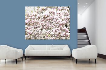 Papier peint : arbre en fleurs de magnolia - format paysage 4:3 - nombreuses tailles et matériaux - motif d'art photographique exclusif sous forme de toile ou d'image en verre acrylique pour la décoration murale 8