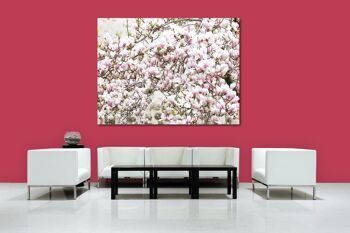 Papier peint : arbre en fleurs de magnolia - format paysage 4:3 - nombreuses tailles et matériaux - motif d'art photographique exclusif sous forme de toile ou d'image en verre acrylique pour la décoration murale 9