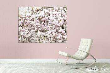 Papier peint : arbre en fleurs de magnolia - format paysage 4:3 - nombreuses tailles et matériaux - motif d'art photographique exclusif sous forme de toile ou d'image en verre acrylique pour la décoration murale 10