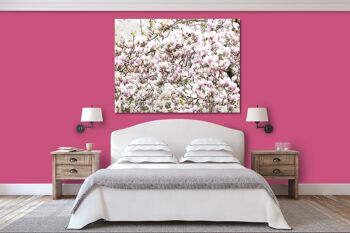 Papier peint : arbre en fleurs de magnolia - format paysage 4:3 - nombreuses tailles et matériaux - motif d'art photographique exclusif sous forme de toile ou d'image en verre acrylique pour la décoration murale 12