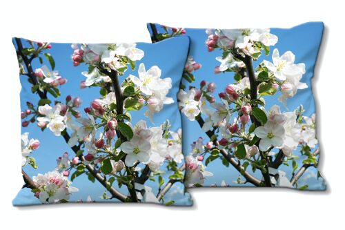 Deko-Foto-Kissen Set (2 Stk.), Motiv: Apfelblüten-Frühling 1 - Größe: 40 x 40 cm - Premium Kissenhülle, Zierkissen, Dekokissen, Fotokissen, Kissenbezug