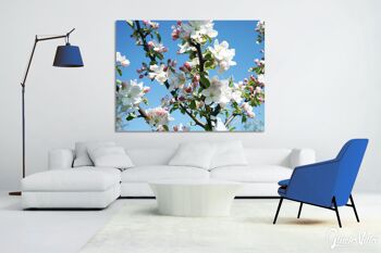 Papier peint : fleur de pommier printemps 1 - format paysage 4:3 - nombreuses tailles et matériaux - motif d'art photo exclusif sous forme d'image sur toile ou d'image en verre acrylique pour la décoration murale 4