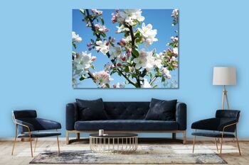 Papier peint : fleur de pommier printemps 1 - format paysage 4:3 - nombreuses tailles et matériaux - motif d'art photo exclusif sous forme d'image sur toile ou d'image en verre acrylique pour la décoration murale 5