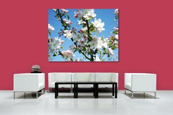 Papier peint : fleur de pommier printemps 1 - format paysage 4:3 - nombreuses tailles et matériaux - motif d'art photo exclusif sous forme d'image sur toile ou d'image en verre acrylique pour la décoration murale 8