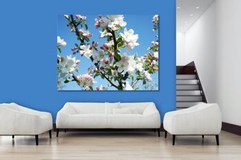 Papier peint : fleur de pommier printemps 1 - format paysage 4:3 - nombreuses tailles et matériaux - motif d'art photo exclusif sous forme d'image sur toile ou d'image en verre acrylique pour la décoration murale 9