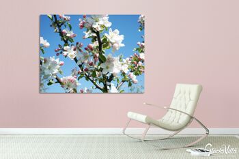 Papier peint : fleur de pommier printemps 1 - format paysage 4:3 - nombreuses tailles et matériaux - motif d'art photo exclusif sous forme d'image sur toile ou d'image en verre acrylique pour la décoration murale 13