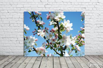 Papier peint : fleur de pommier printemps 1 - format paysage 4:3 - nombreuses tailles et matériaux - motif d'art photo exclusif sous forme d'image sur toile ou d'image en verre acrylique pour la décoration murale 14