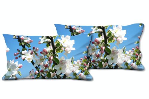 Deko-Foto-Kissen Set (2 Stk.), Motiv: Apfelblüten-Frühling 1 - Größe: 80 x 40 cm - Premium Kissenhülle, Zierkissen, Dekokissen, Fotokissen, Kissenbezug
