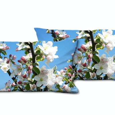 Deko-Foto-Kissen Set (2 Stk.), Motiv: Apfelblüten-Frühling 1 - Größe: 80 x 40 cm - Premium Kissenhülle, Zierkissen, Dekokissen, Fotokissen, Kissenbezug