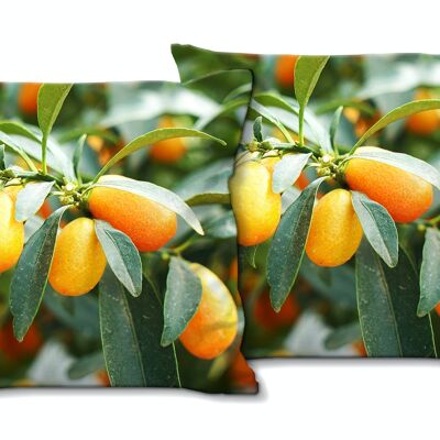Set di cuscini decorativi con foto (2 pezzi), motivo: kumquat nano arancione - dimensioni: 40 x 40 cm - fodera per cuscino premium, cuscino decorativo, cuscino decorativo, cuscino fotografico, fodera per cuscino