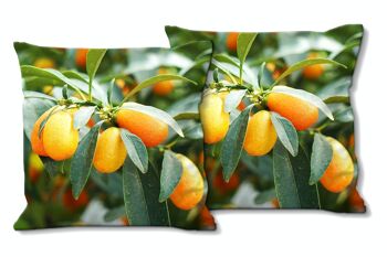 Ensemble de coussins photo décoratifs (2 pièces), motif : kumquat nain orange - taille : 40 x 40 cm - housse de coussin haut de gamme, coussin décoratif, coussin décoratif, coussin photo, housse de coussin 1