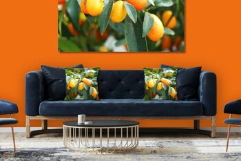 Ensemble de coussins photo décoratifs (2 pièces), motif : kumquat nain orange - taille : 40 x 40 cm - housse de coussin haut de gamme, coussin décoratif, coussin décoratif, coussin photo, housse de coussin 2