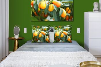 Ensemble de coussins photo décoratifs (2 pièces), motif : kumquat nain orange - taille : 40 x 40 cm - housse de coussin haut de gamme, coussin décoratif, coussin décoratif, coussin photo, housse de coussin 4
