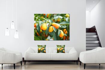 Ensemble de coussins photo décoratifs (2 pièces), motif : kumquat nain orange - taille : 40 x 40 cm - housse de coussin haut de gamme, coussin décoratif, coussin décoratif, coussin photo, housse de coussin 5
