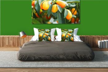 Ensemble de coussins photo décoratifs (2 pièces), motif : kumquat nain orange - taille : 40 x 40 cm - housse de coussin haut de gamme, coussin décoratif, coussin décoratif, coussin photo, housse de coussin 7